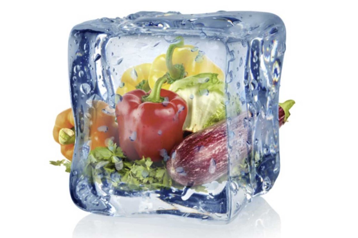 Guia completo: Como congelar alimentos corretamente para preservar nutrientes