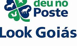 Entenda o Jogo do Bicho Look Goiás: Sorteios e Legalidade