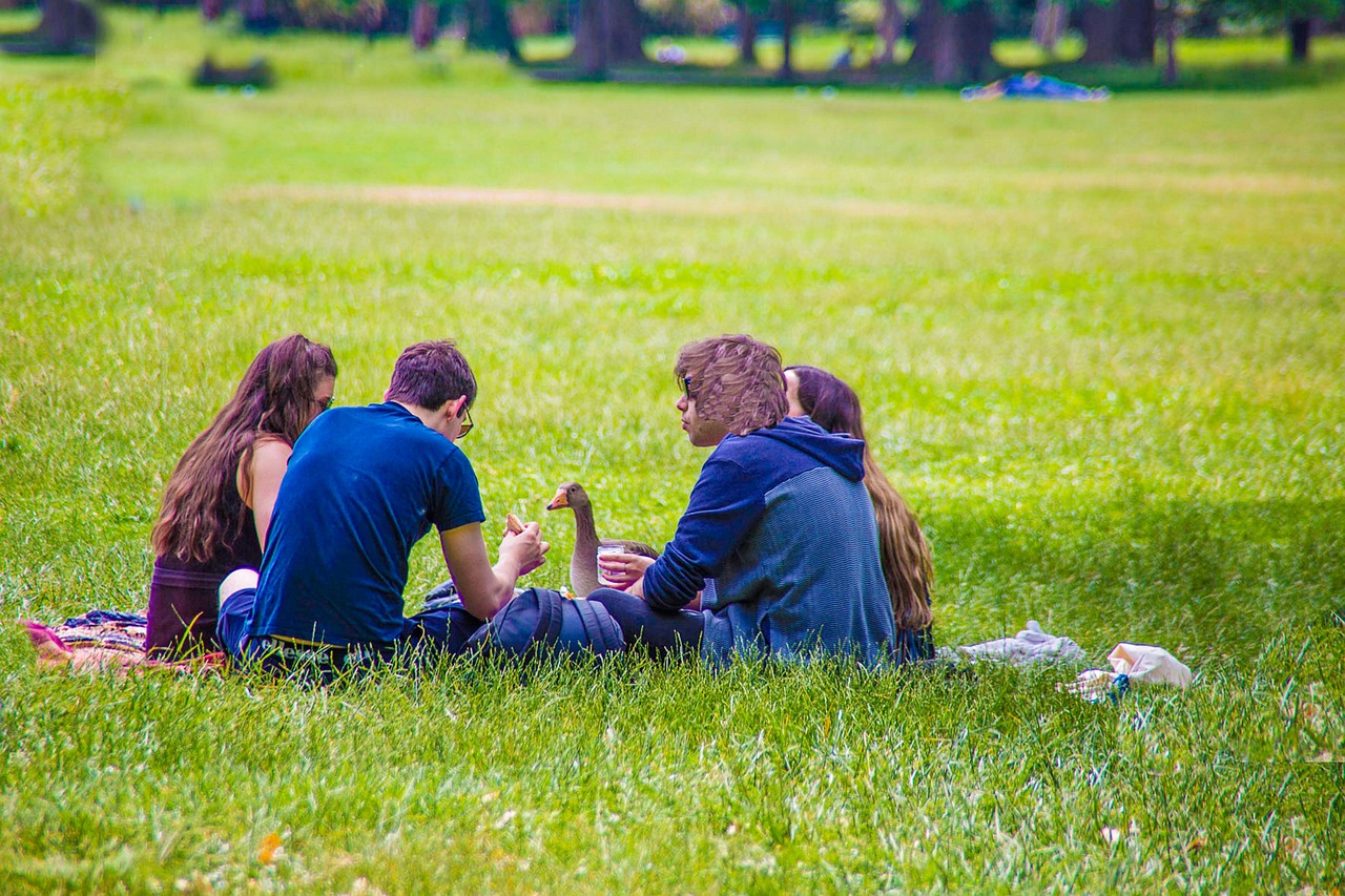 passeio de piquenique perfeito