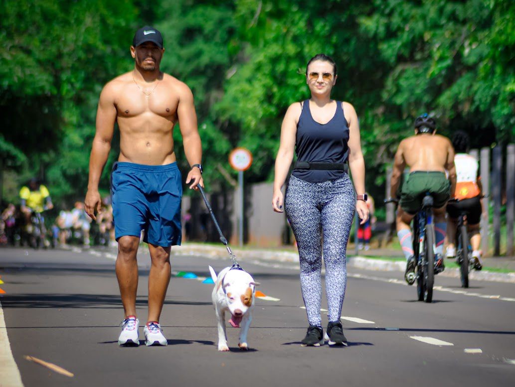 passeio de piquenique perfeito