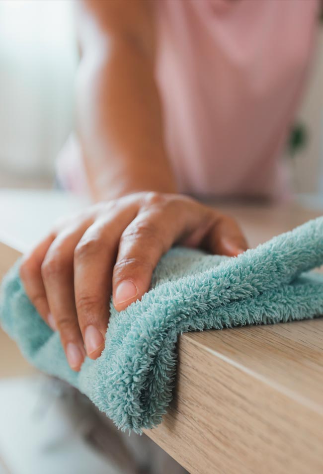 organização e limpeza doméstica rápida