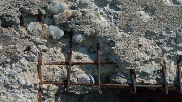 dicas para evitar bicheira no concreto