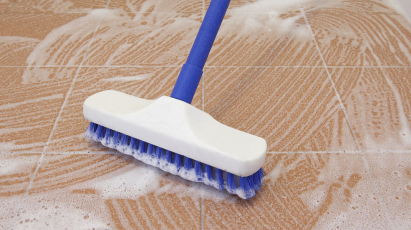 dicas para limpar o quintal