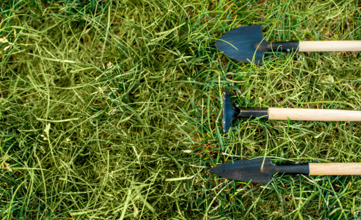 como limpar quintal encardido com produtos caseiros