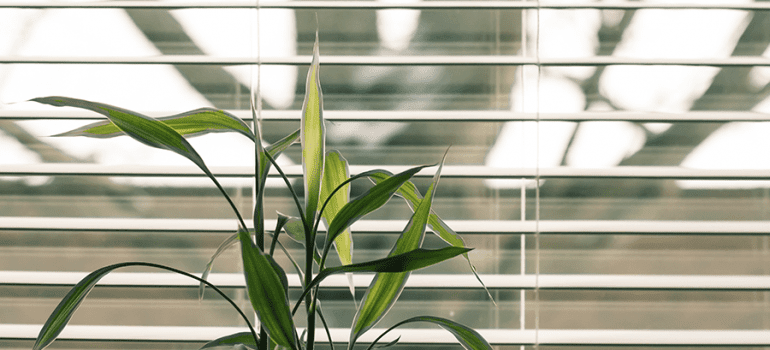 dicas para limpar persianas