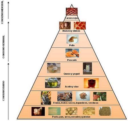 Dieta Carnívora e Seus Riscos à Saúde Cardiovascular: O Que Dizem os Especialistas