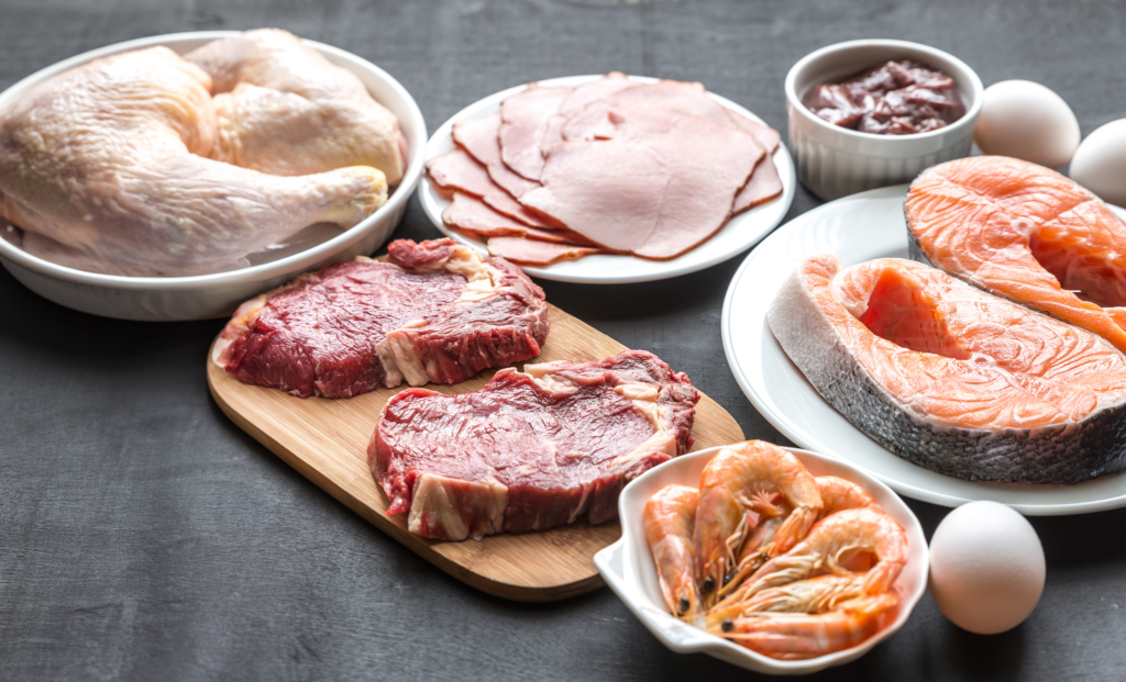 Mitos e Verdades sobre a Perda de Peso na Dieta Carnívora