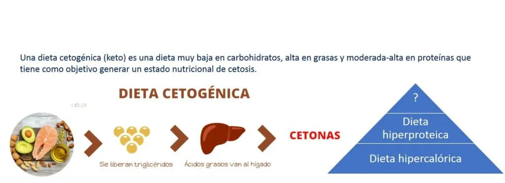 Como Superar a Saciação na Dieta Cetogênica para Ganhar Massa