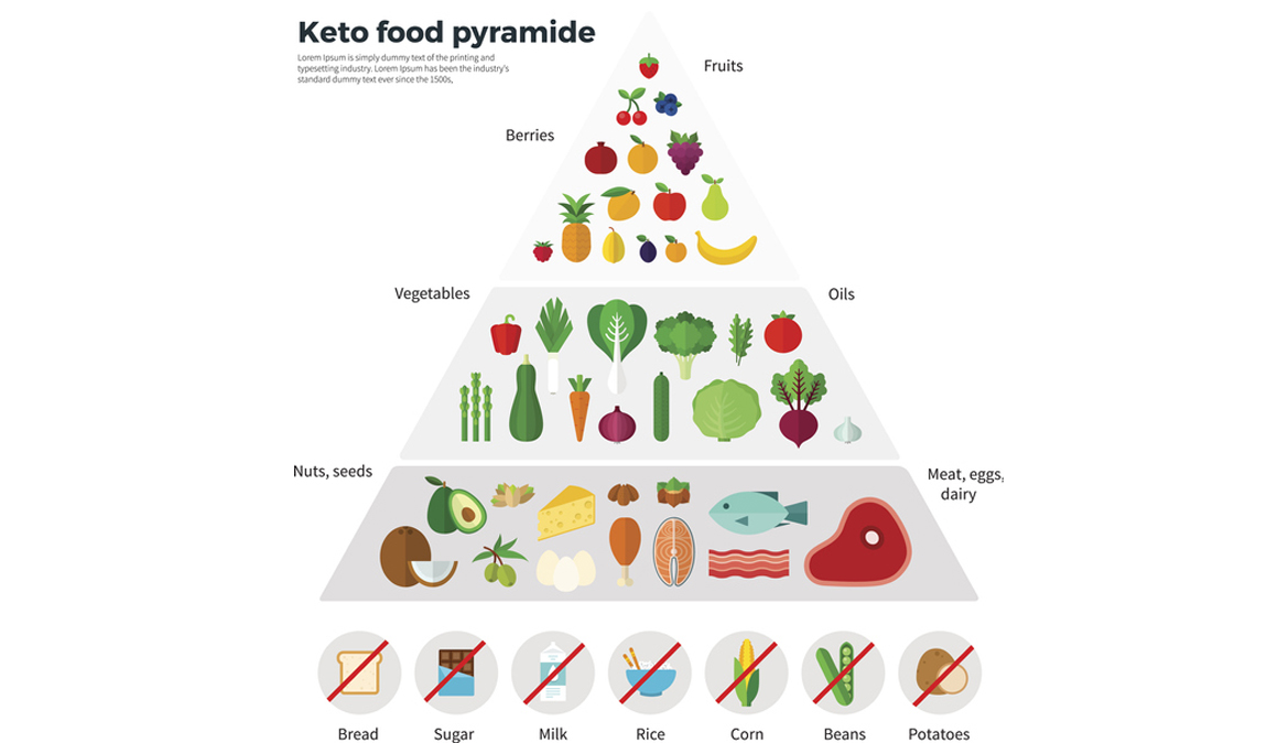 Receitas Cetogênicas Ricas em Proteínas para Ganho Muscular