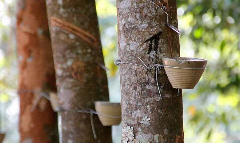 diferenca entre resina epoxi e poliester