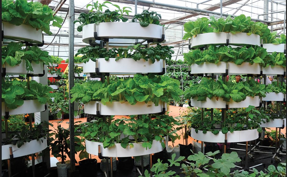 materiais reciclados para horta vertical