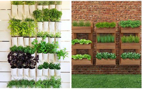 plantas para horta vertical de varanda