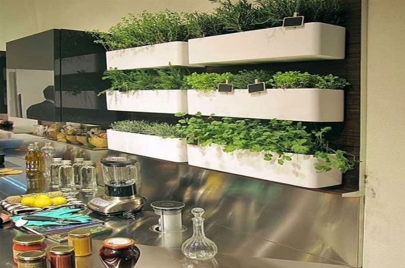 plantas para horta vertical de varanda