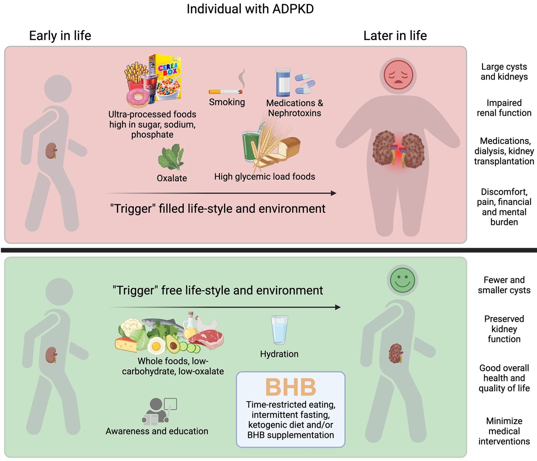 Receitas Saudáveis e Saborosas para Pacientes Renais