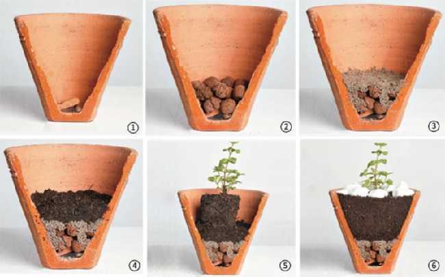 como fazer drenagem em vasos de plantas