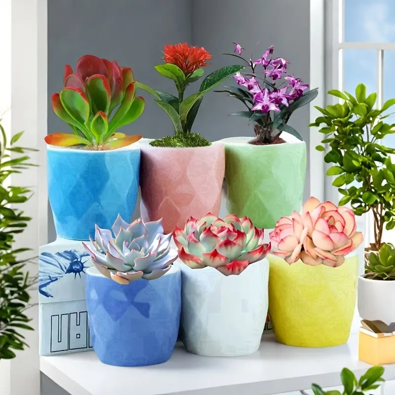 como fazer drenagem em vasos de plantas