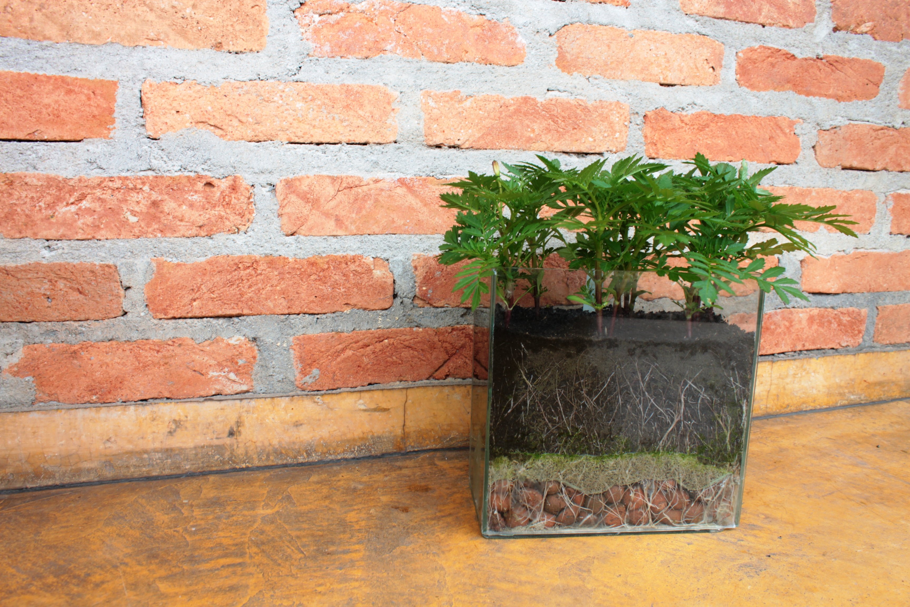 camadas de drenagem para vasos