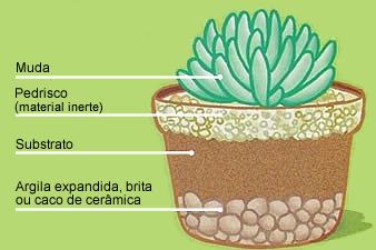 camadas de drenagem para vasos