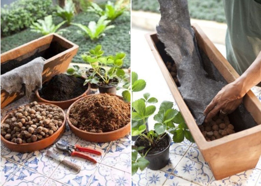 como fazer drenagem em vasos de plantas
