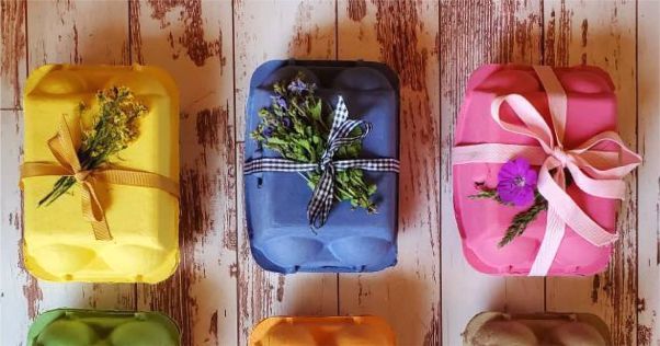 Onde Comprar Embalagens Sustentáveis: Lista de Fornecedores e Lojas Especializadas