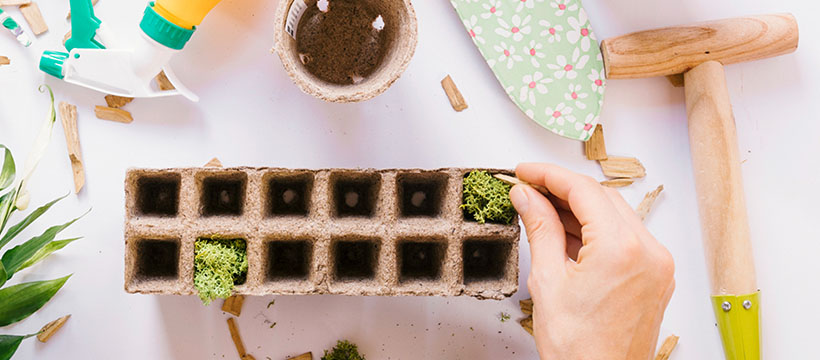 embalagem sustentável para artesanato