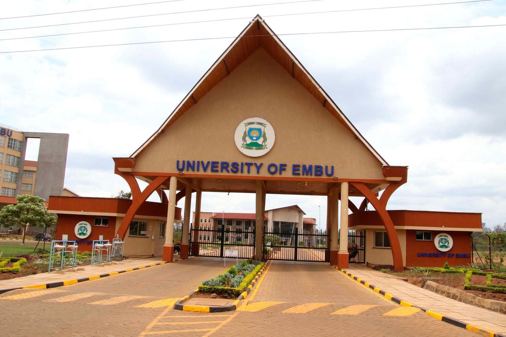 Embu das Artes com Crianças: Melhores Atrações para a Família