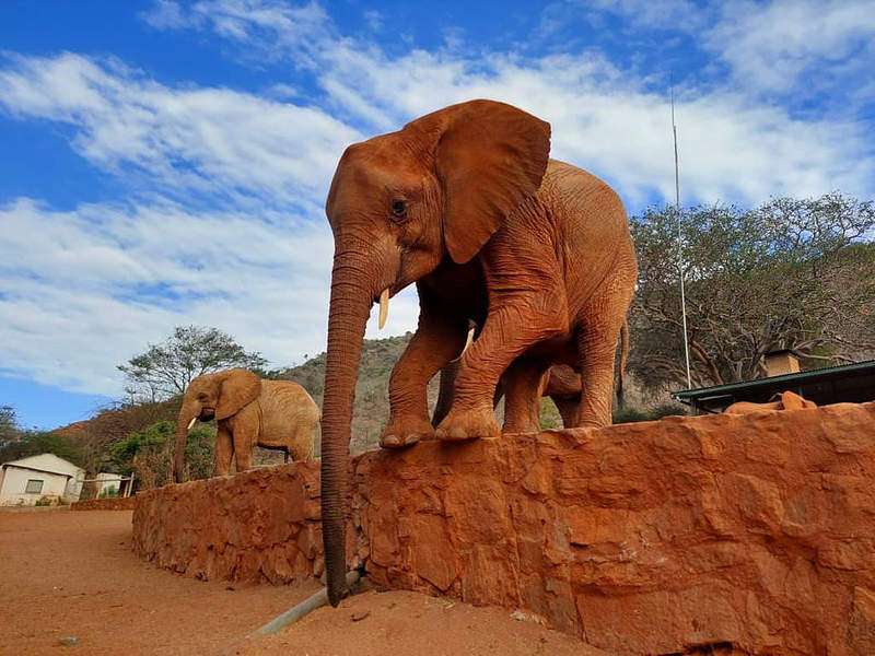 Roteiro Gastronômico em Embu das Artes: Onde Comer Bem