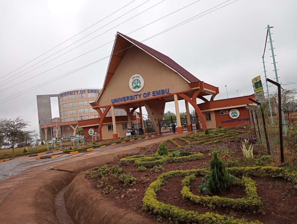 Guia Completo da Feira de Artesanato de Embu das Artes