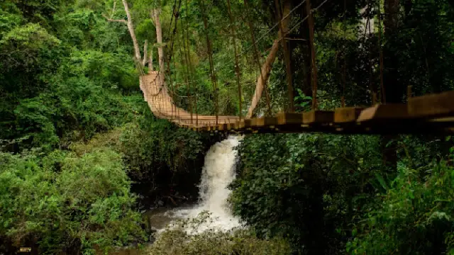 Roteiro Gastronômico em Embu das Artes: Onde Comer Bem