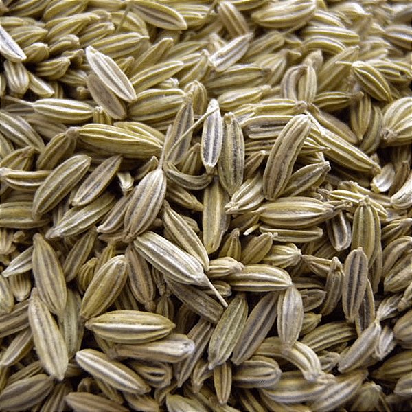 Receitas Criativas com Bulbo de Funcho: Além da Salada