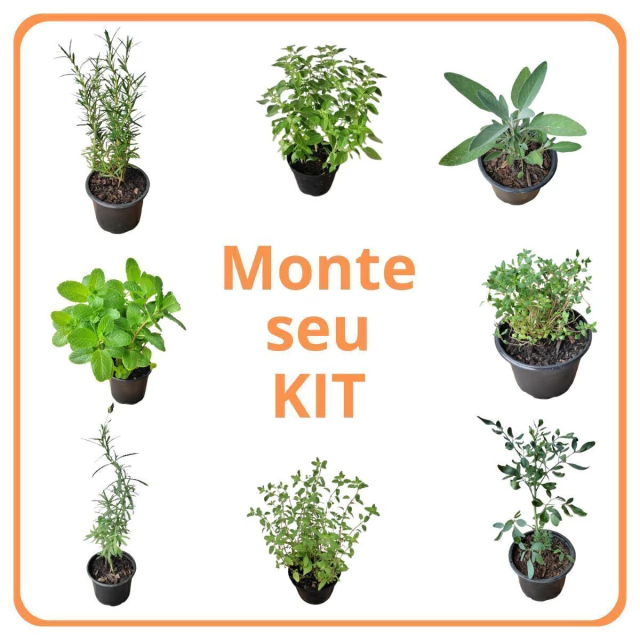 usos culinários das ervas aromáticas