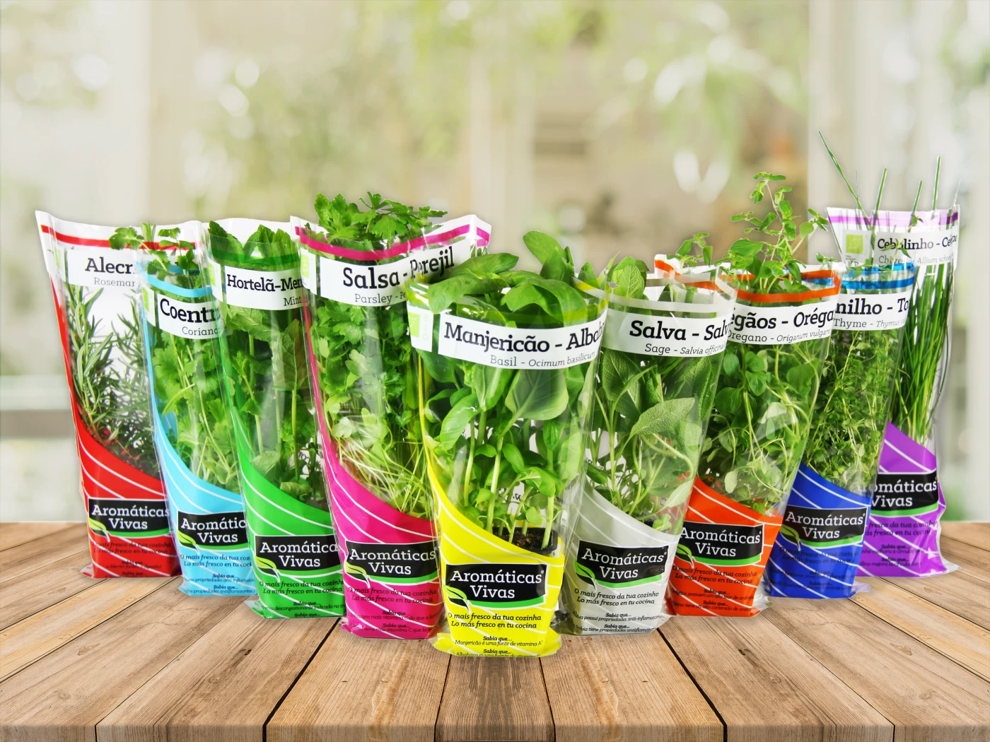 benefícios medicinais das ervas