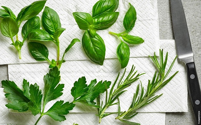 propriedades terapêuticas do manjericão