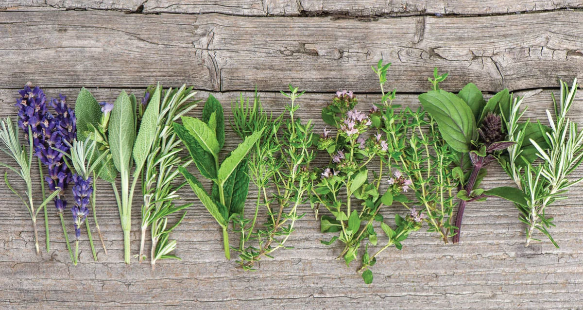 ervas para temperar alimentos