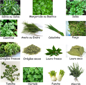 propriedades terapêuticas do manjericão