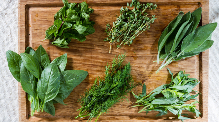 benefícios medicinais das ervas