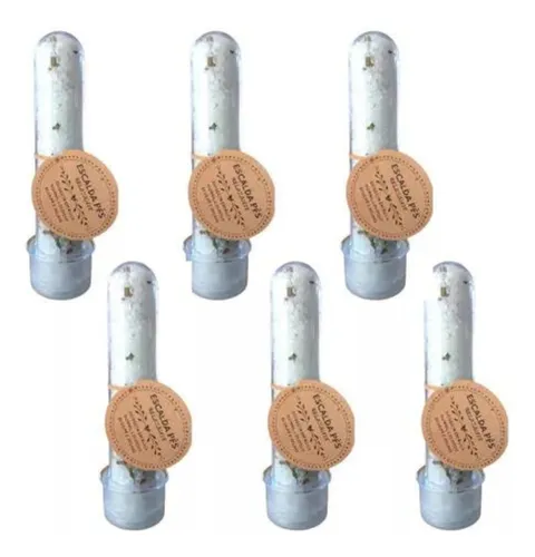 Escalda Pés Terapêutico: Alivie Dores Crônicas e Melhore a Qualidade de Vida