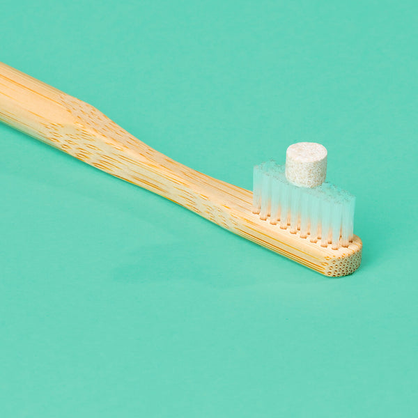 escova de dente de bambu sustentável