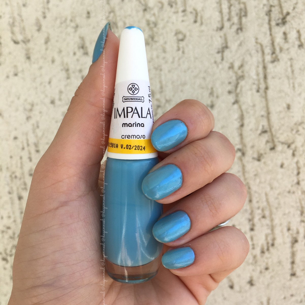 As Melhores Combinações de Unhas Decoradas com Esmalte Impala Marina