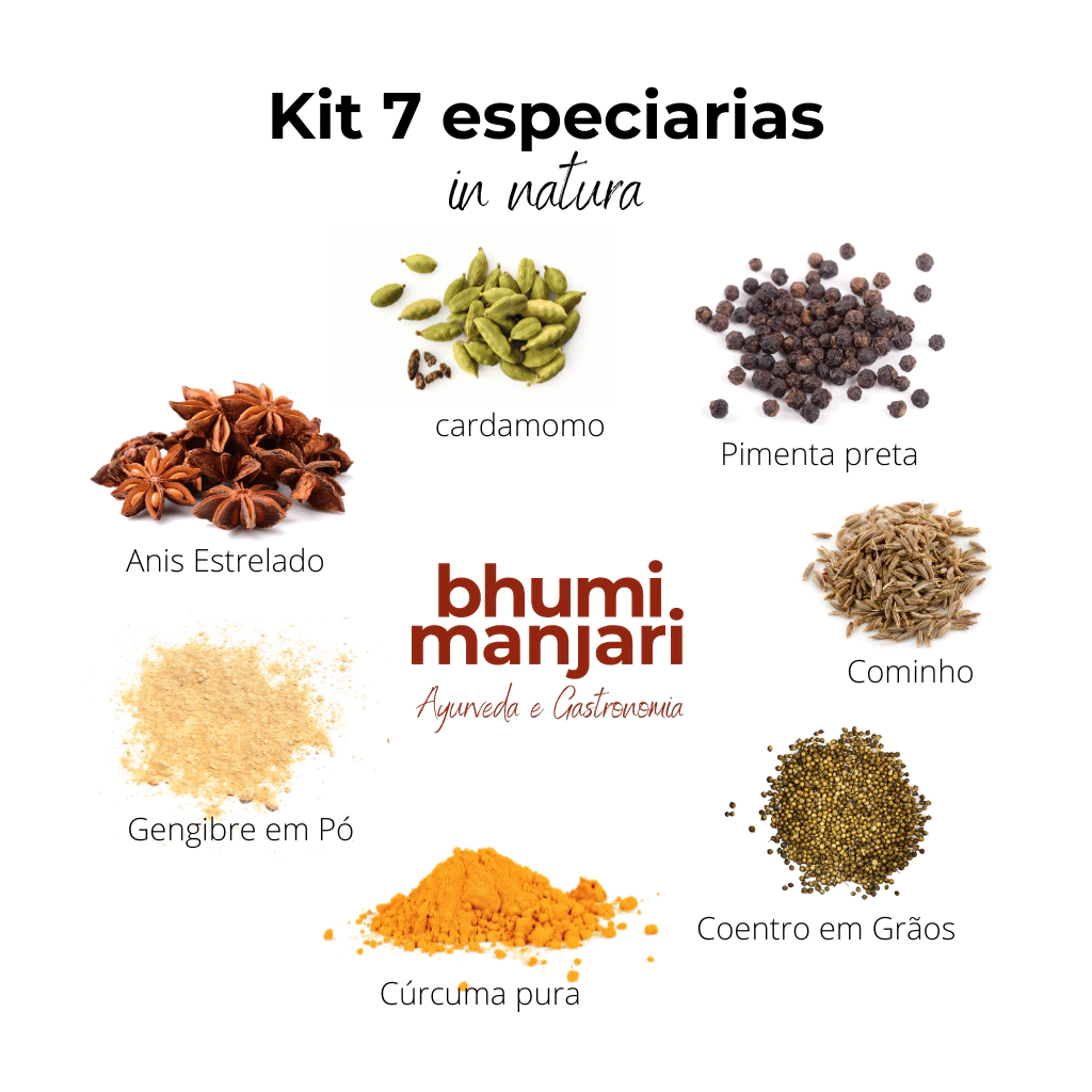 Guia Completo: Como Montar Sua Própria Masala Dabba Indiana