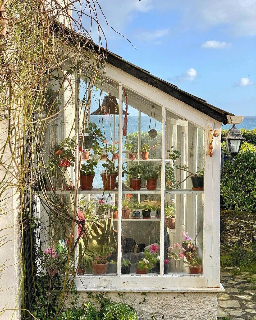 mini estufa para mudas