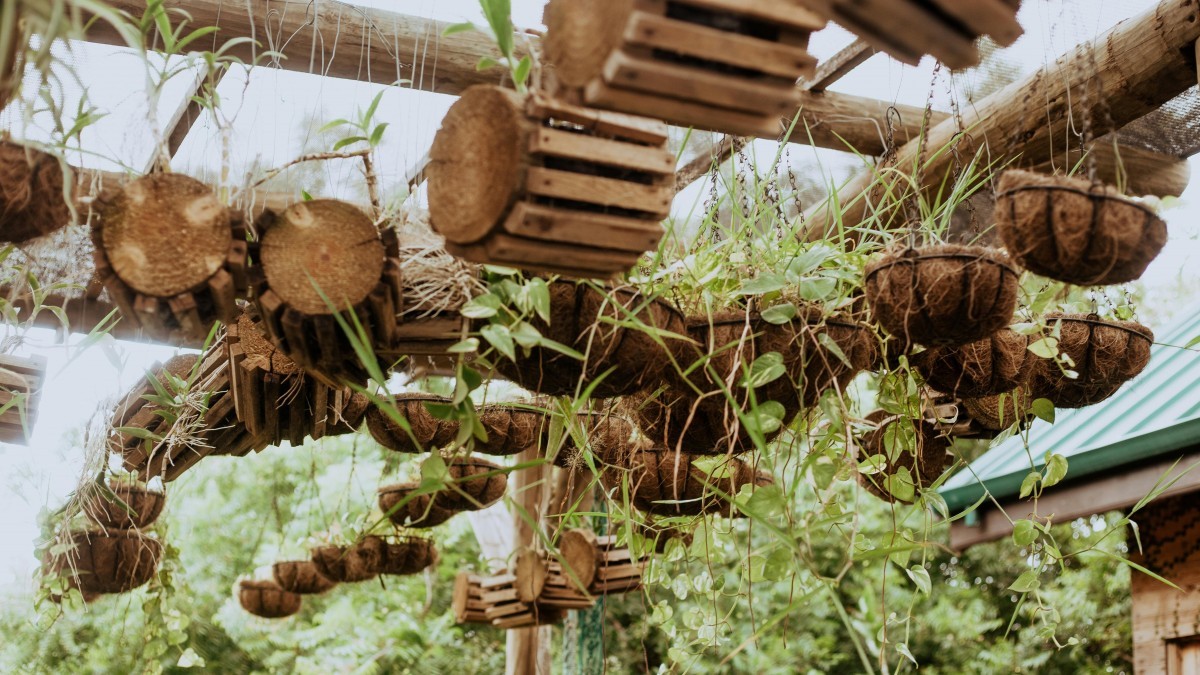 estufa portátil para cultivo