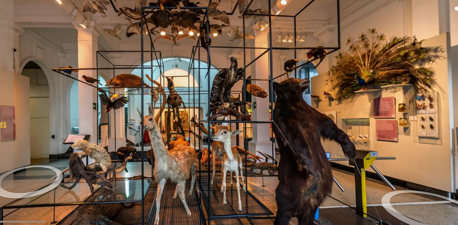 explorando museus virtuais