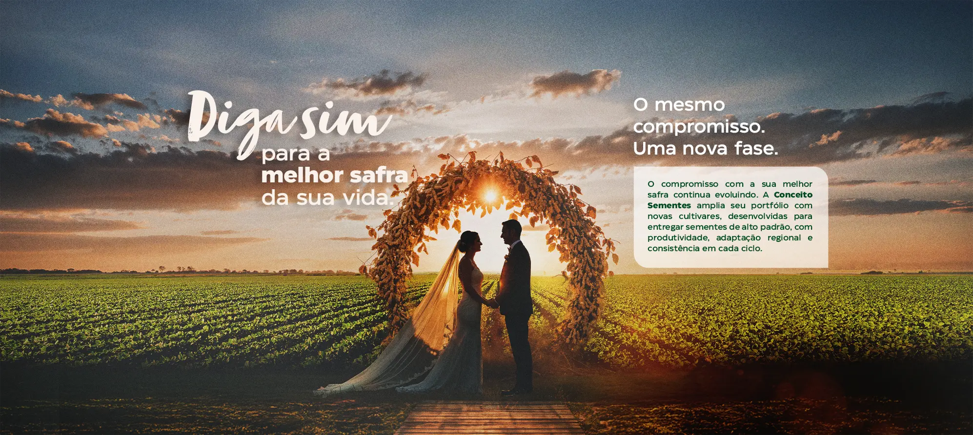 Guia Completo: Como Montar um Banco de Sementes Caseiro