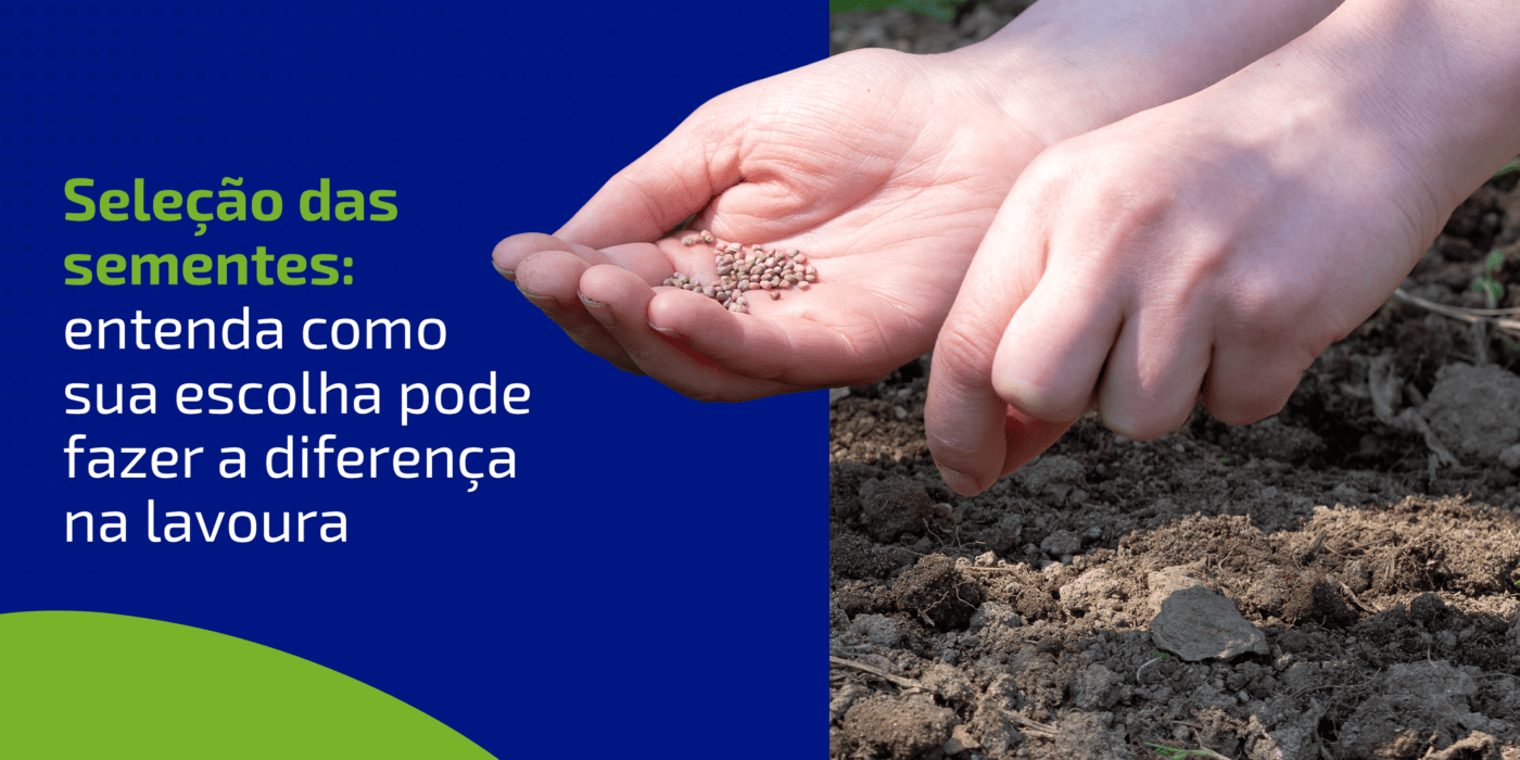 Guia Completo: Como Montar um Banco de Sementes Caseiro