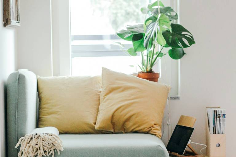 feng shui descubra o que e e aprenda dicas para melhorar a energia em sua casa ou apartamento