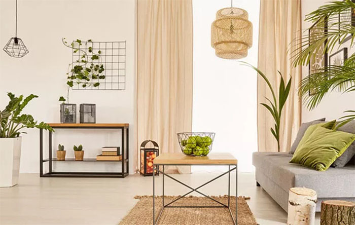 A Importância das Plantas no Feng Shui da Sala