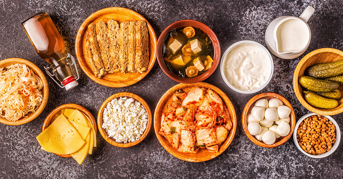 fermentados para o intestino