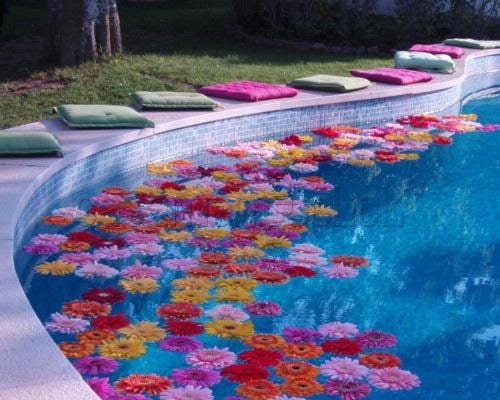 Guia Completo de Decoração para Pool Party Temática