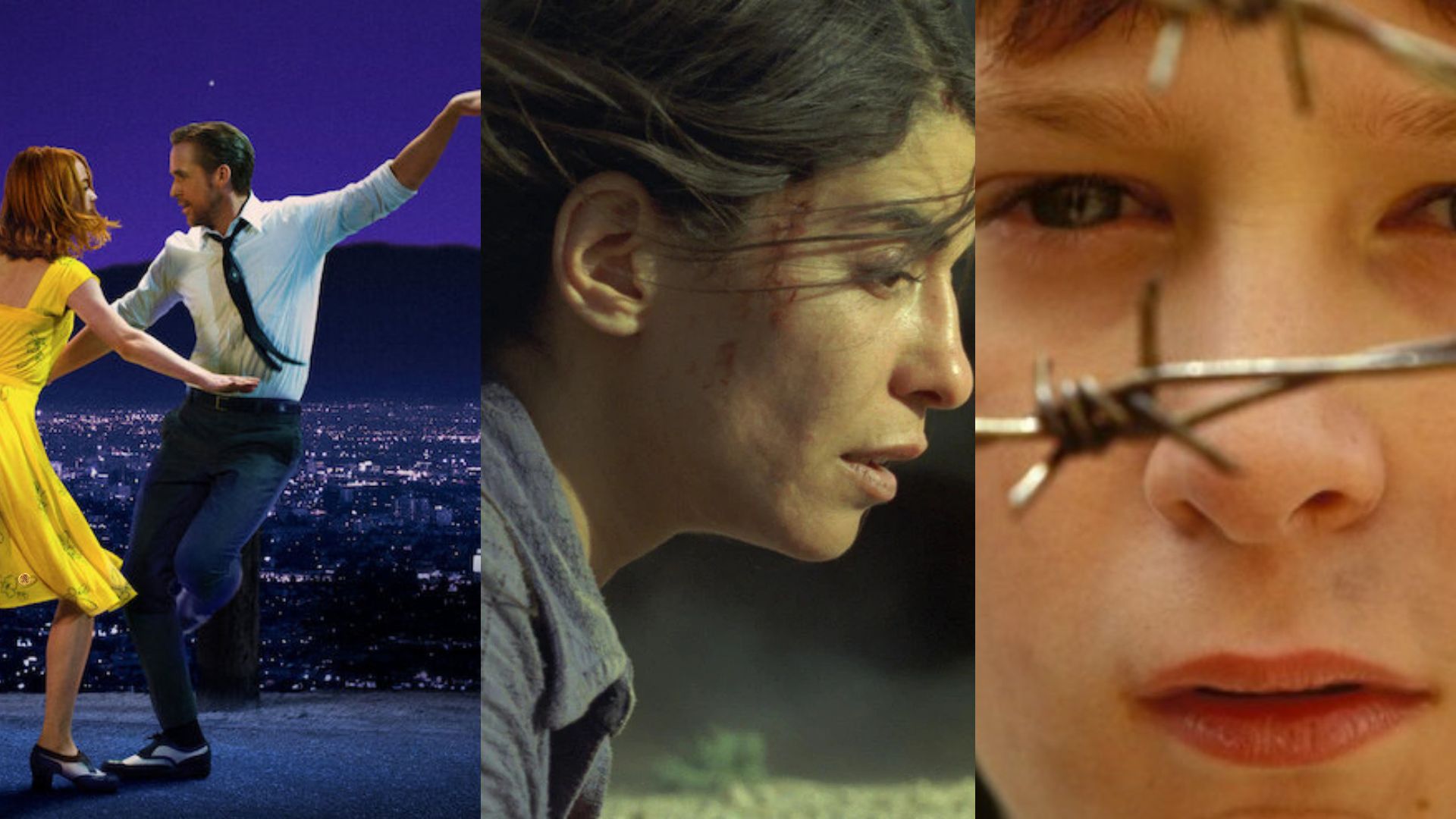 Filmes Sobre Lealdade Animal que Marcaram Gerações